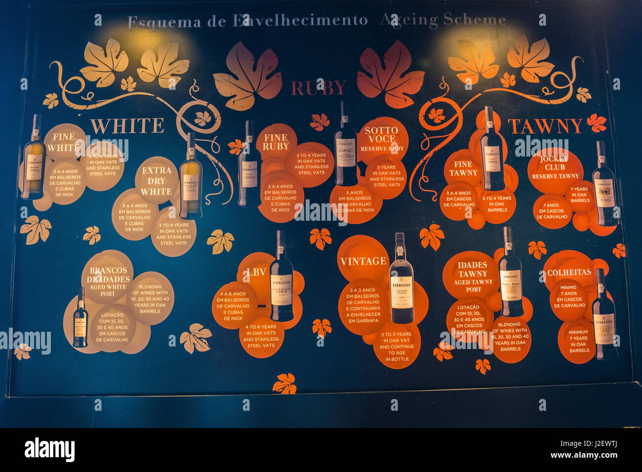 Port wine chart, Burmester Cellars, Oporto, Portugal Stock Photo Alamy