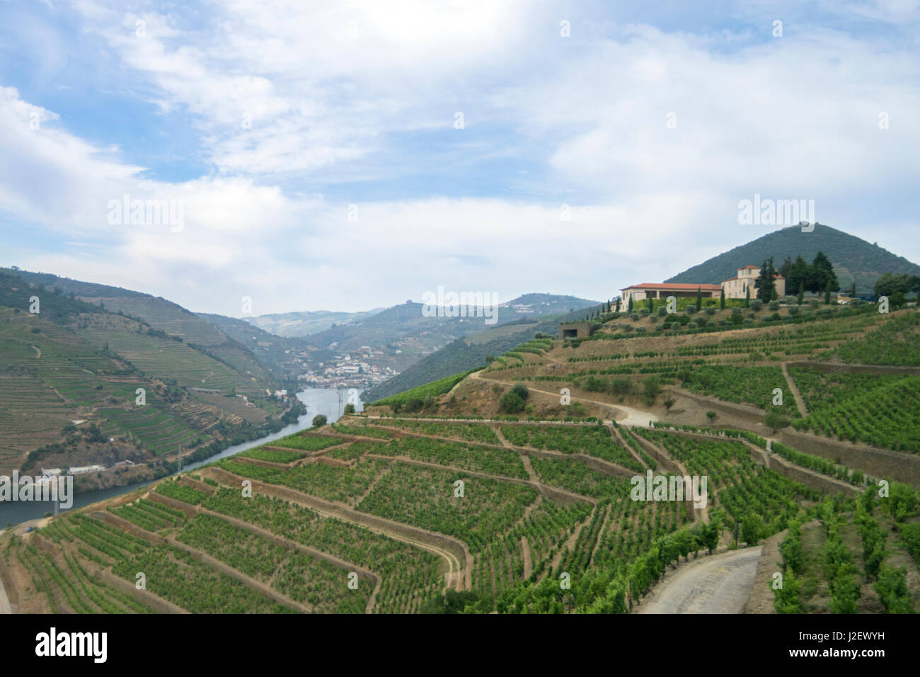 Sandeman Winery, Quinta do Seixo vineyard estate, Portugal, Valenca do