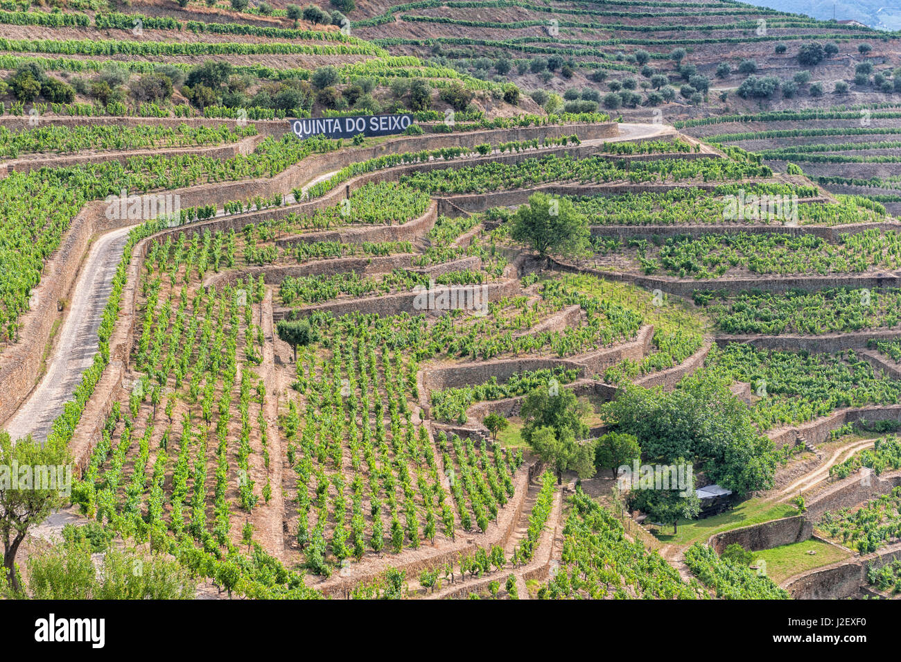 Sandeman Winery, Quinta do Seixo vineyard estate, Europe, Portugal