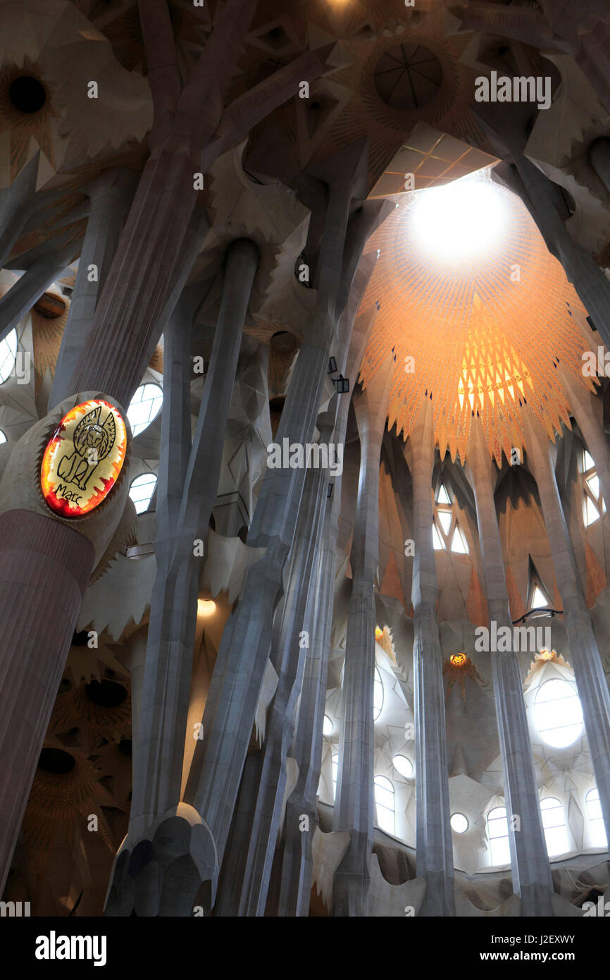 The stunning interior of the Sagrada Familia, the Antoni Gaudi designed ...