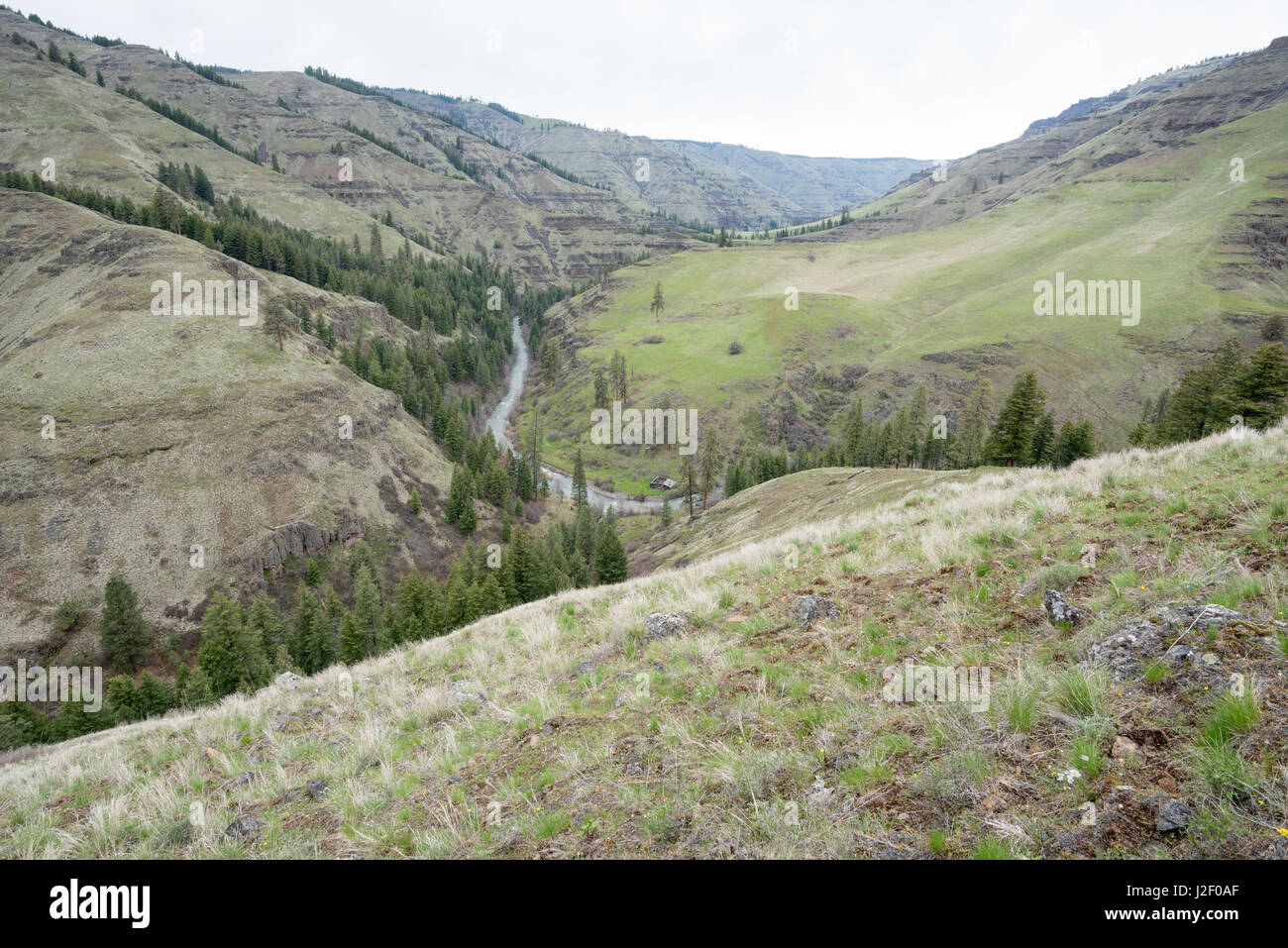 Joseph Creek Canyon, Wallowa Whitman National Forest, Oregon Stock