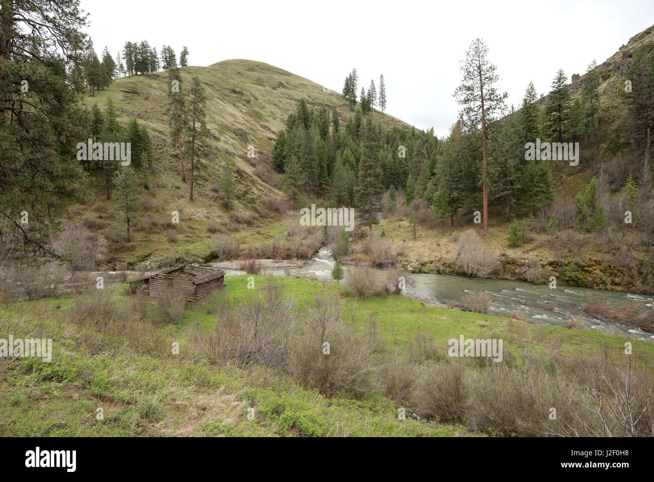 Old log barn at the confluence of Swamp and Joseph Creeks in Wallowa