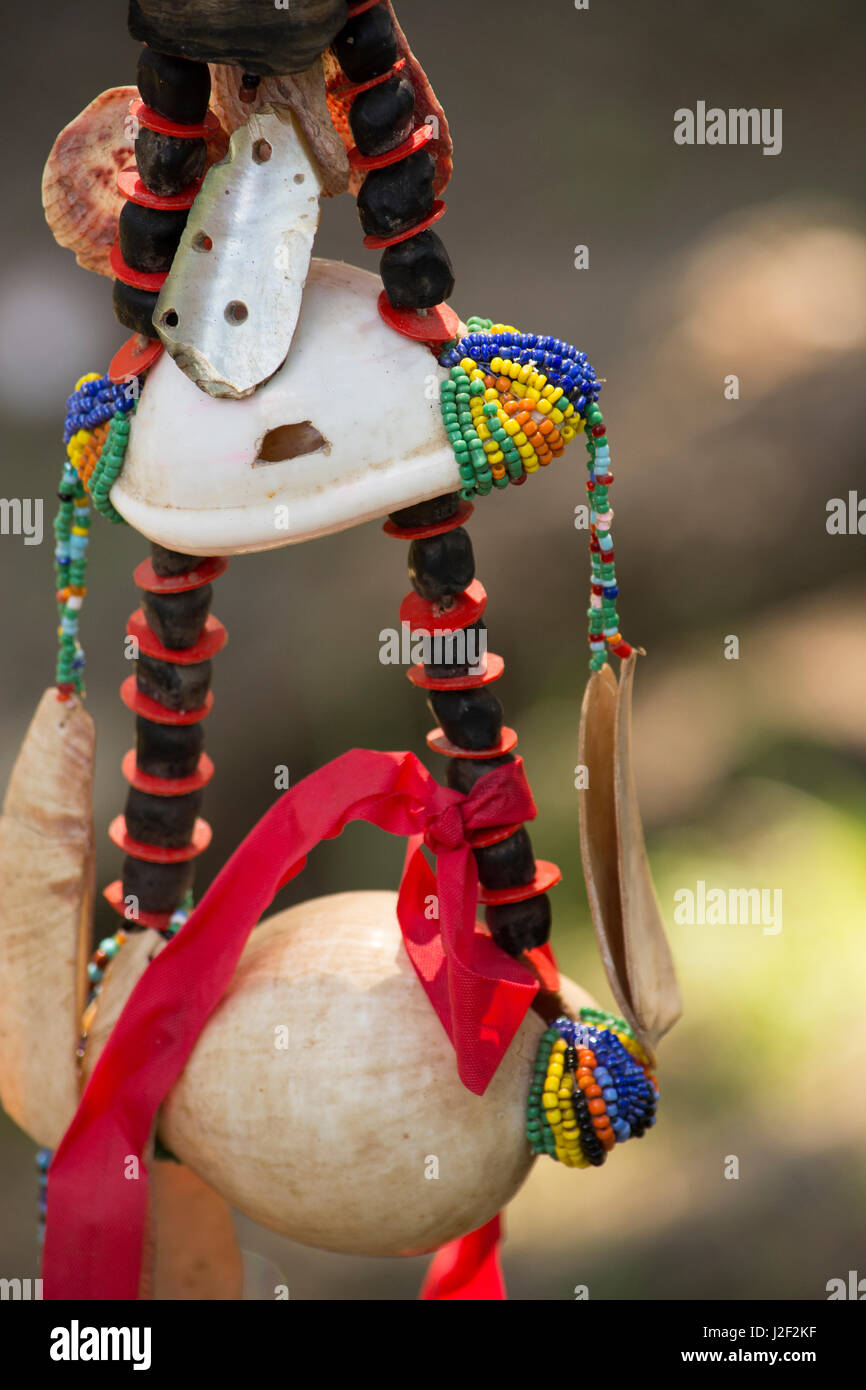 Melanesia, Papua New Guinea, Dobu Island. Vintage historic seashell and ...