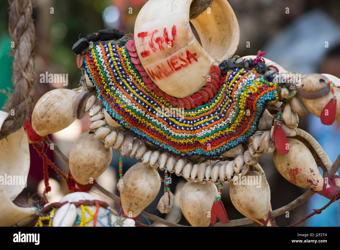Melanesia, Papua New Guinea, Dobu Island. Vintage historic seashell and ...