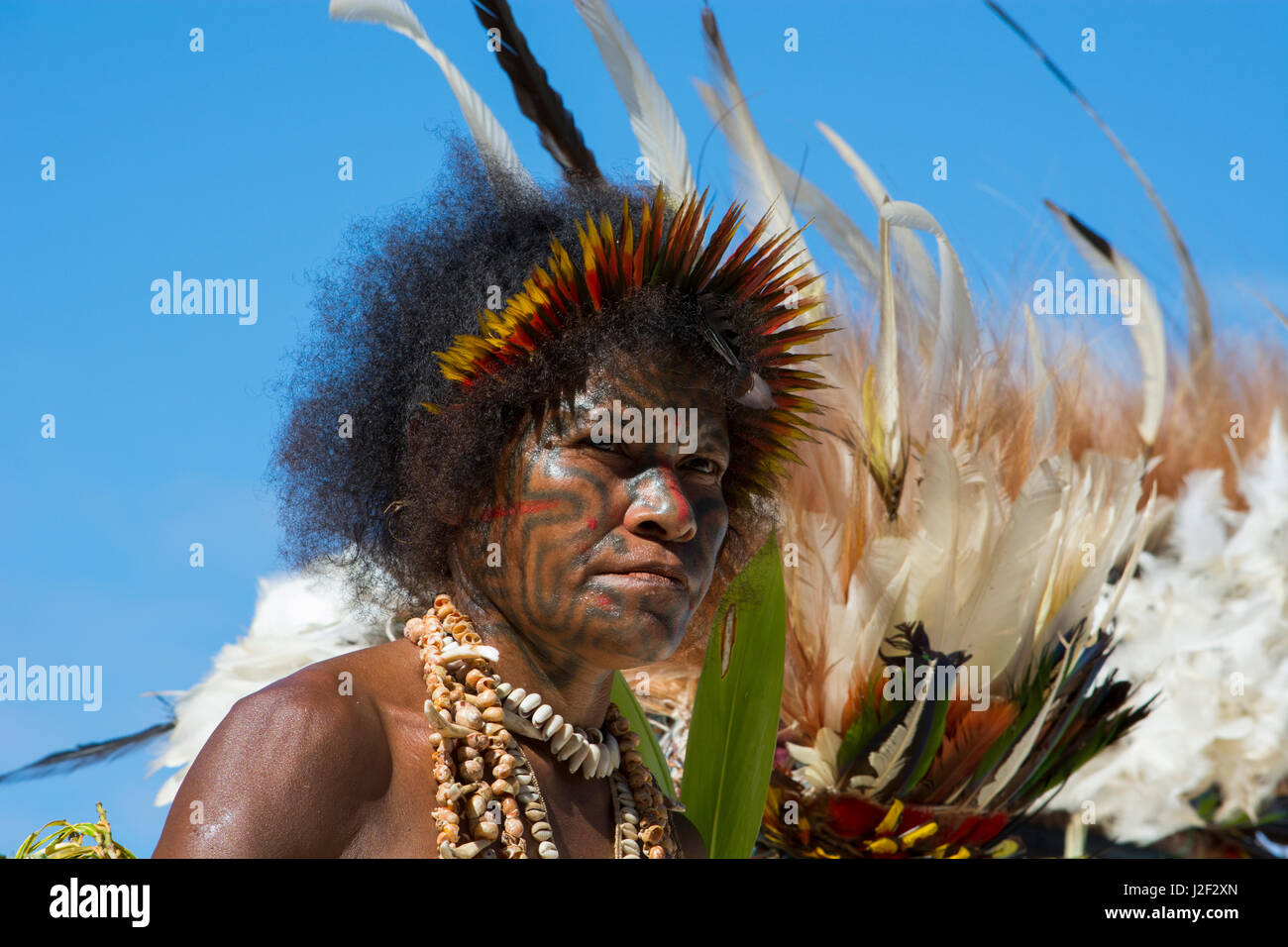Papua New Guinea, Tufi. Traditional welcome sing-sing performance. Woman dressed in native attire with full face tattoo. Ornate tropical bird feathers and shell necklace in her elaborate costumes. Stock Photo