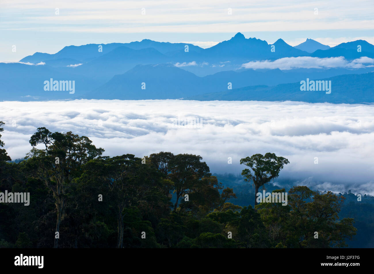 The mountains around Mount Hagen, Papua New Guinea Stock Photo