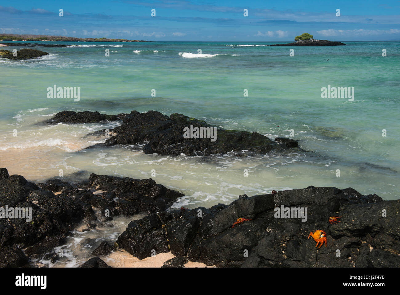 Las Bachas Beach, Santa Cruz Island, Galapagos Islands, Ecuador Stock Photo  - Alamy