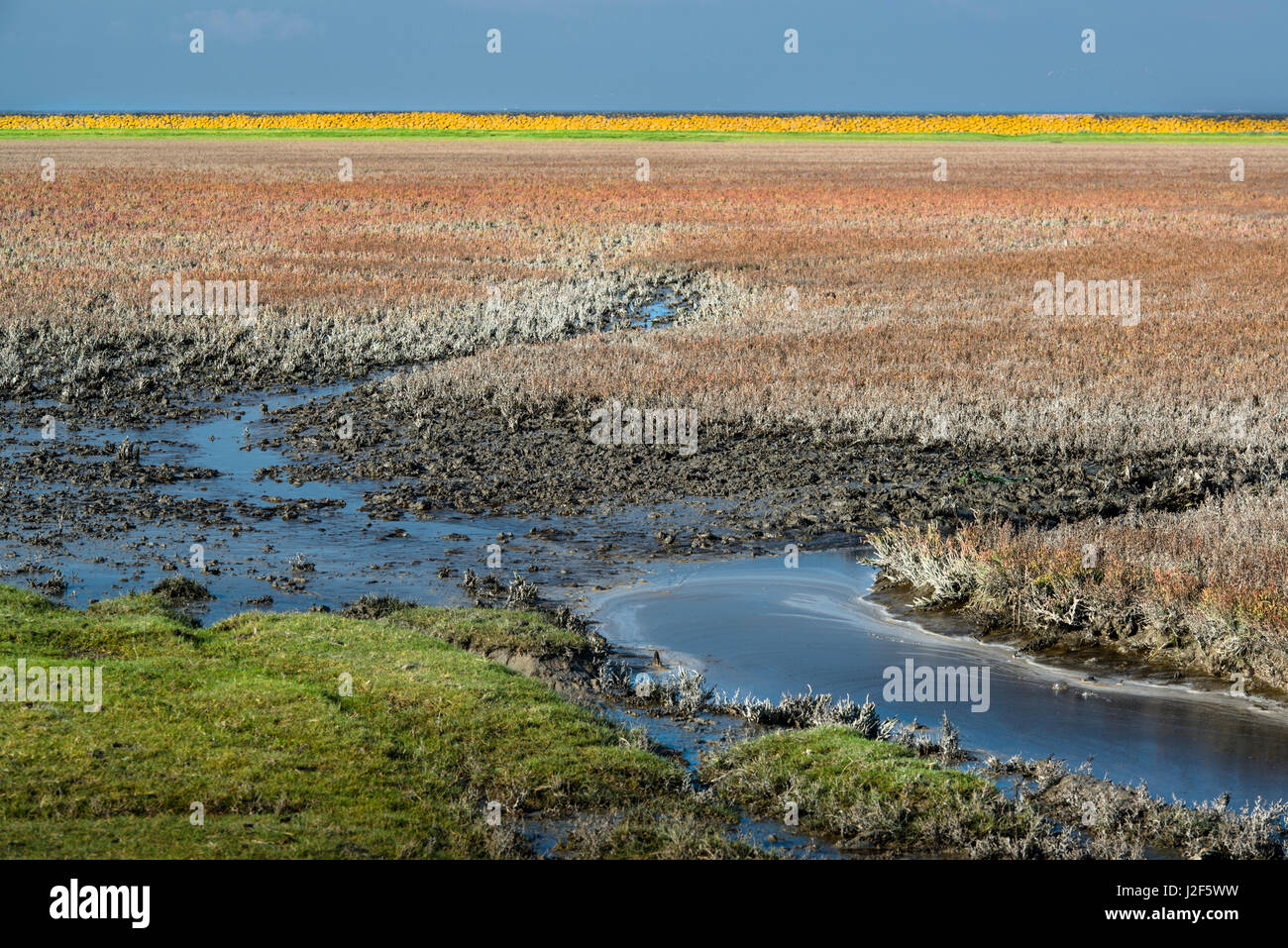 Red and orange colours hi-res stock photography and images - Alamy