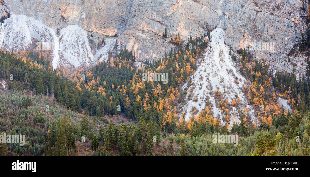 Landscape with screes and trees in the autumn Stock Photo