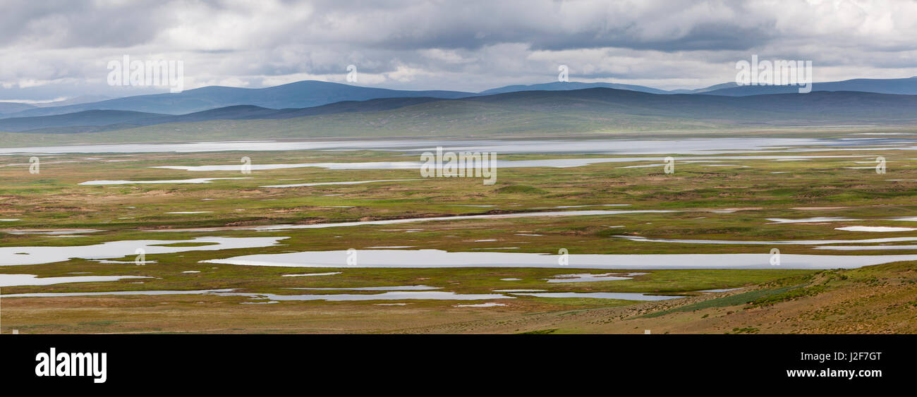 Landscape with wetlands and rolling hills on the Tibetan Plateau in the province of Qinghai Stock Photo