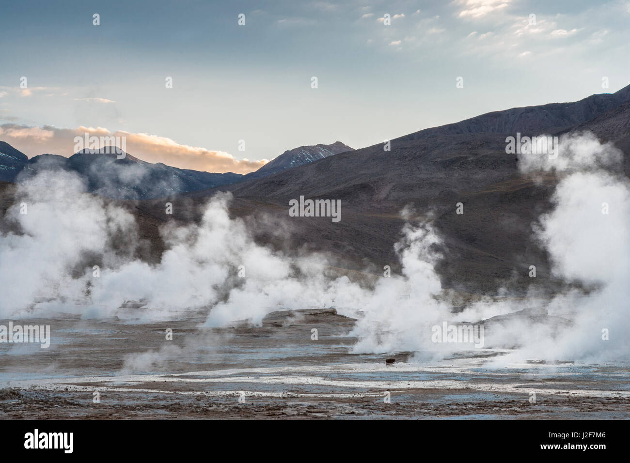 Spouting geysers at the high altitude El Tatio geyser field just before sunrise Stock Photo