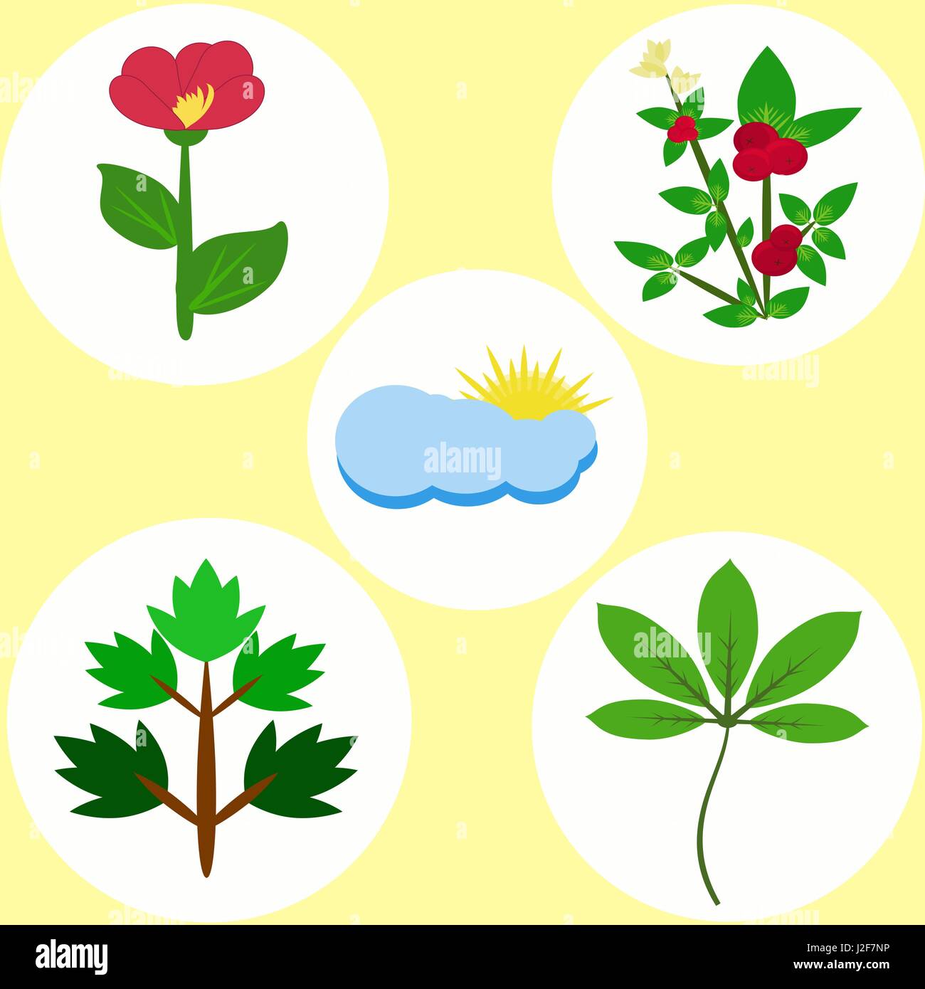 Set of colored flat natural elements from flowers, bush, foliage, clouds Stock Vector