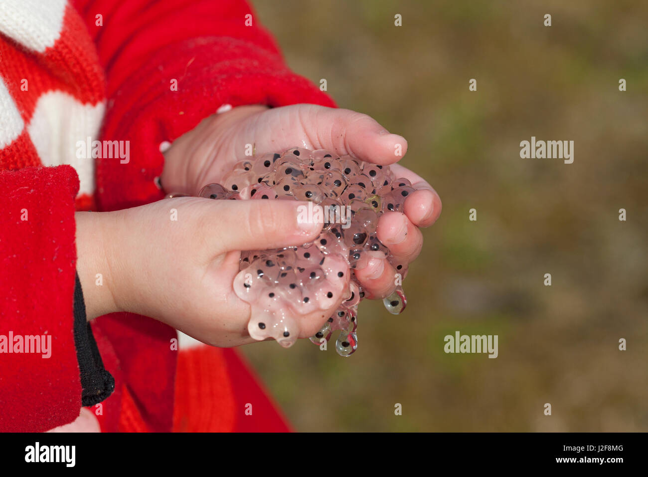 Blooded Hands Stock Photos & Blooded Hands Stock Images - Alamy