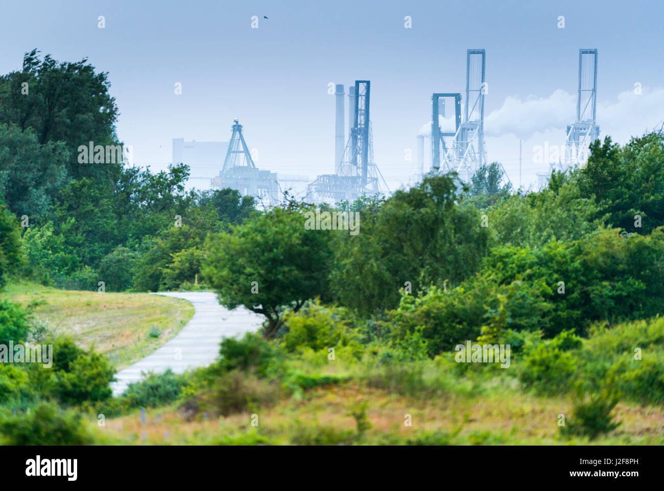 dunescrubland with cycling path along the Dutch coast with the industry of the harbour of Rotterdam in the background Stock Photo