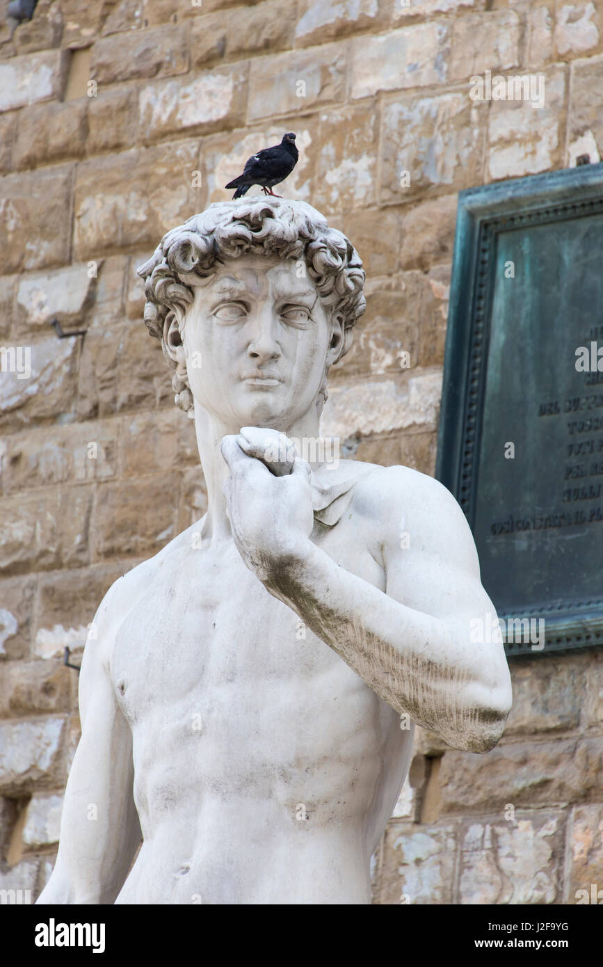 Europe, Italy, Florence. Disrespectful pigeon on David copy head. Palazzo Vecchio Stock Photo