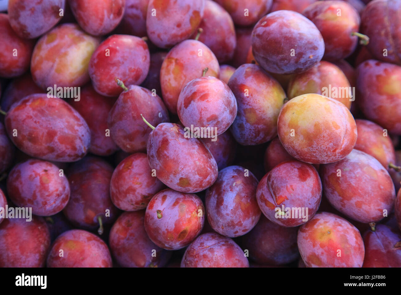 Display of red plums in the Caldas da Rainha open air market in Portugal. Stock Photo