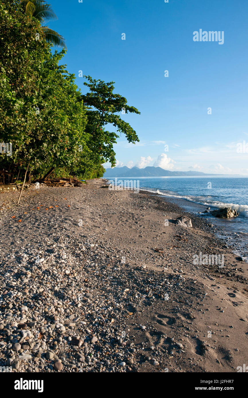 Beach at Savo island, Solomon Islands, Pacific Stock Photo