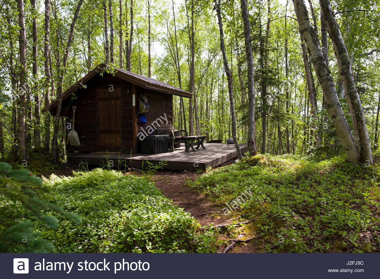 Small Remote Off Grid Alaskan Cabin Set In Forest Of Paper Birch