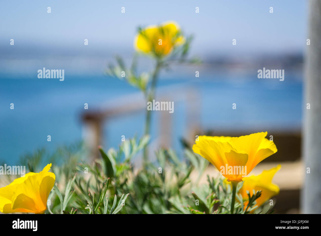Closeup viewpoint hires stock photography and images Alamy