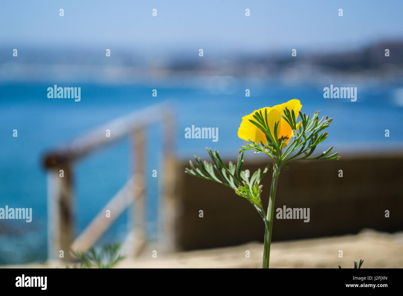 Closeup viewpoint hires stock photography and images Alamy