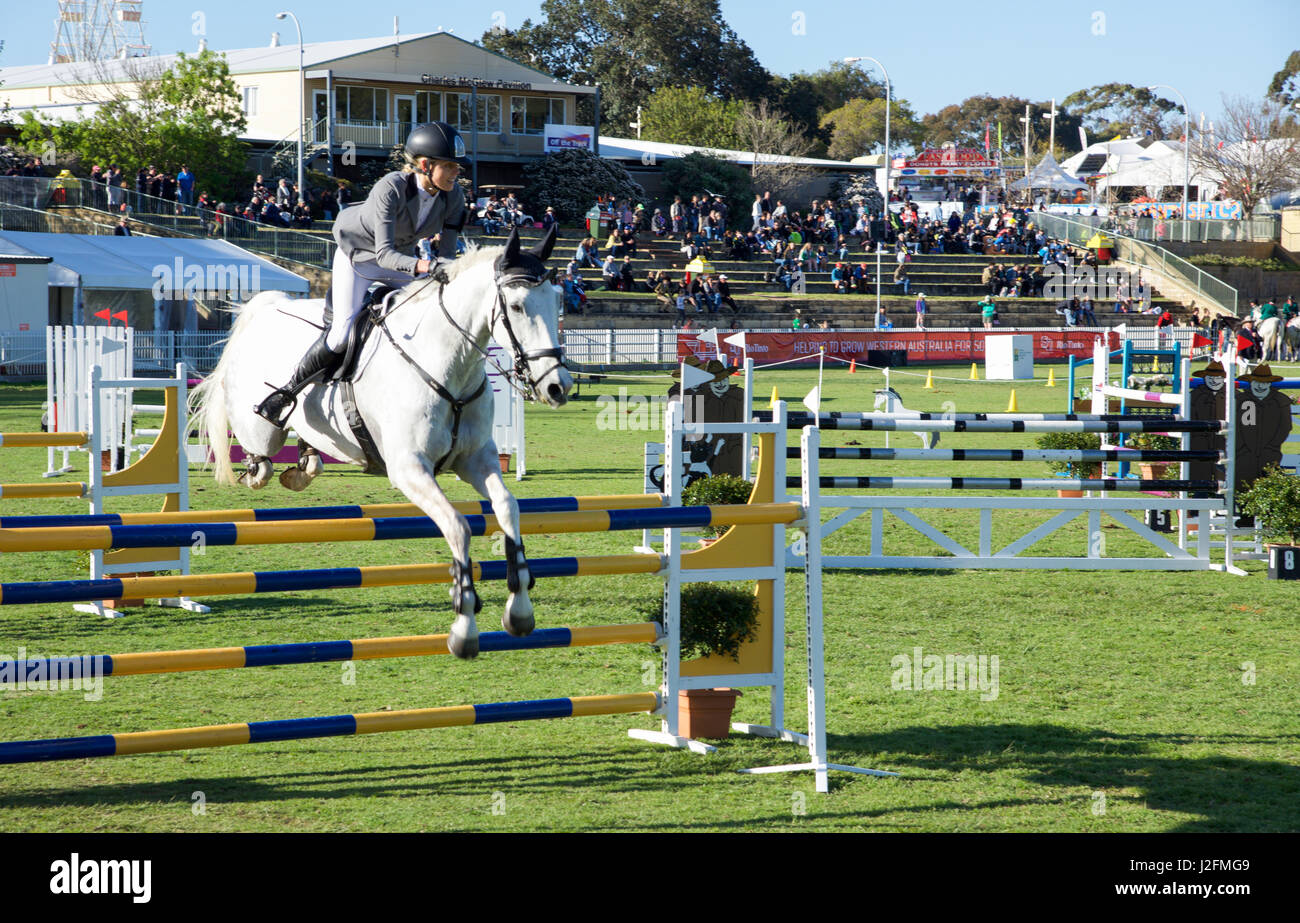 Claremont,WA,AustraliaSeptember 25,2016Horse with rider at showjumping competition at the