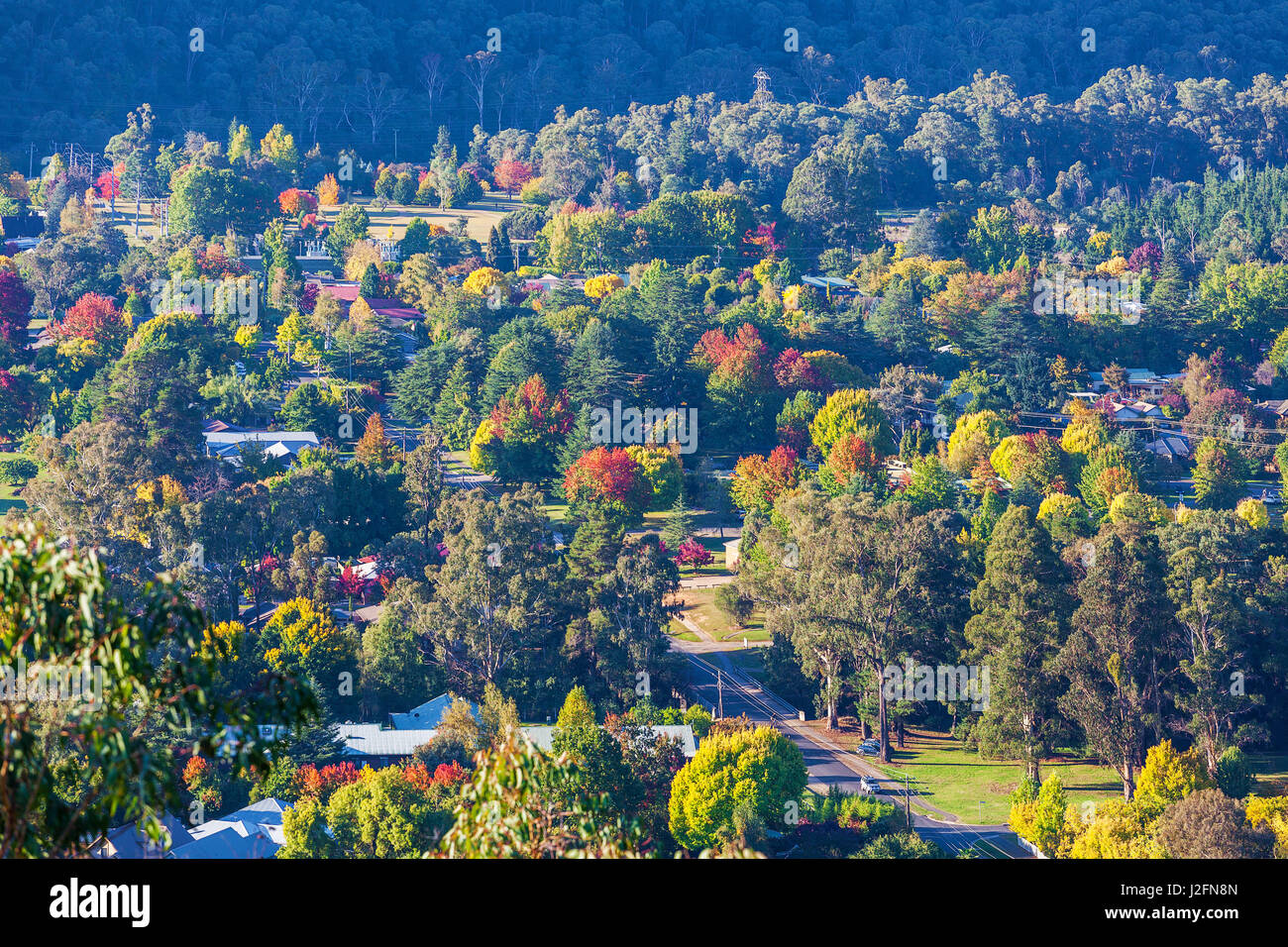 Rural town in autumn - green, yellow, and orange trees. Bright, Victoria, Australia Stock Photo
