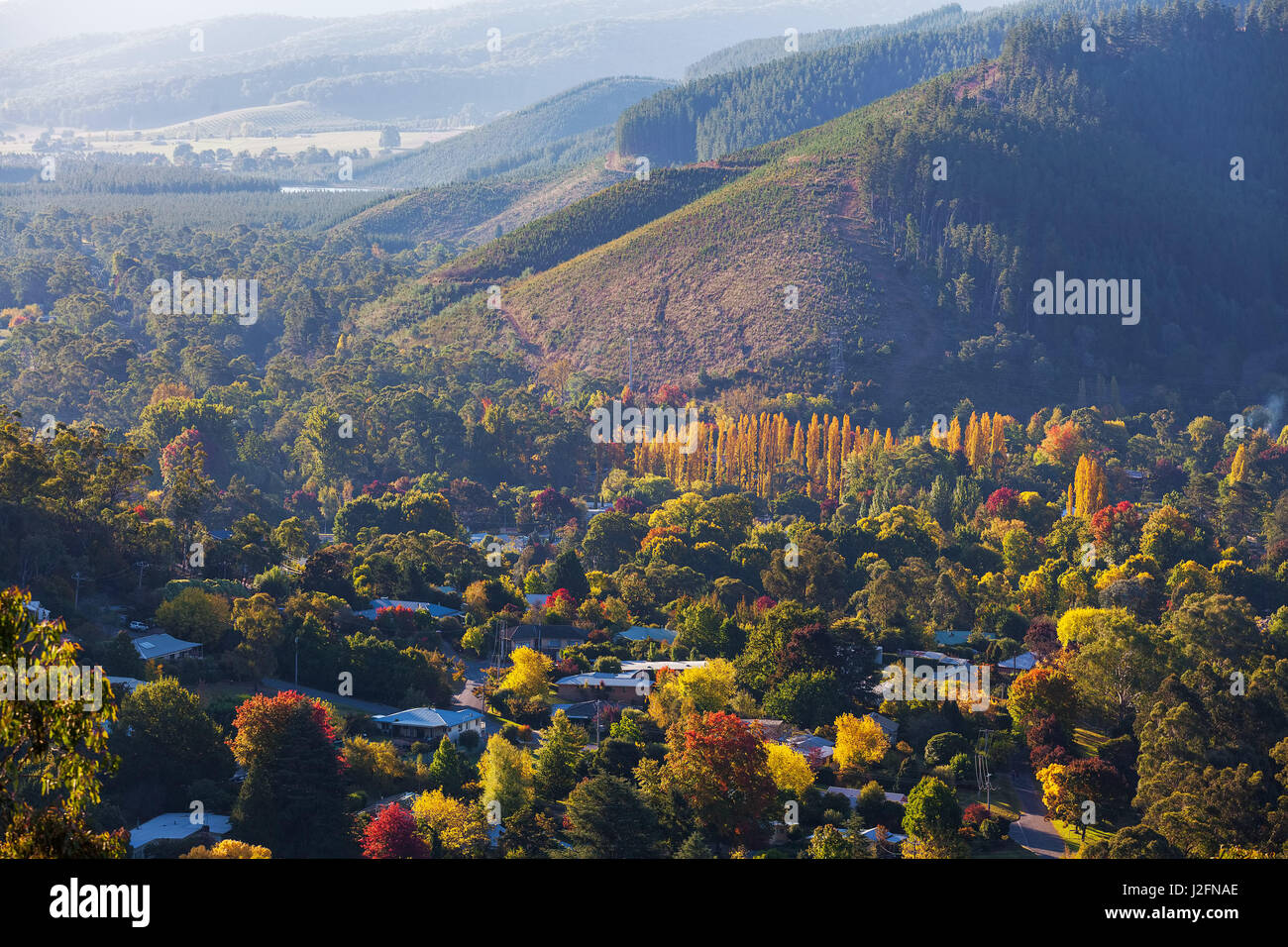 Rural Australian town in Autumn colors. Bright, Victoria, Australia Stock Photo