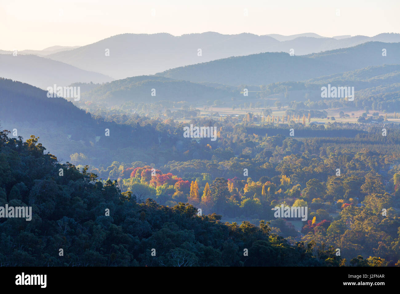 Sunset over Australian countryside - misty hills and fall trees. Victoria, Australia Stock Photo