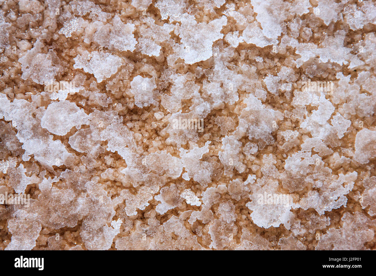 Macro shot of salt being mined in Uyuni with the largest crystals floating to the top of the pond. Stock Photo