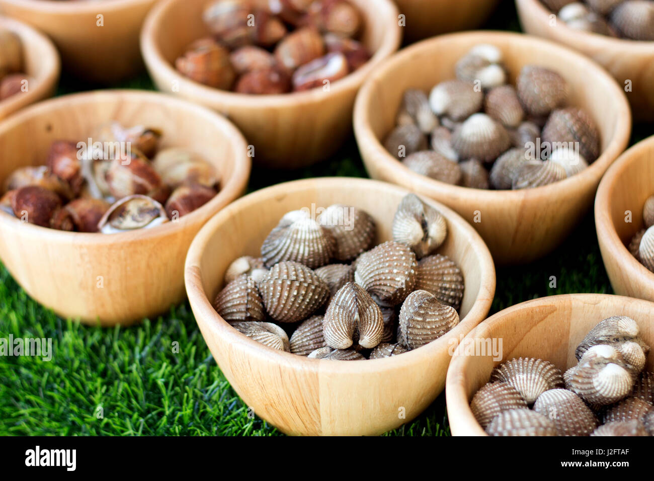 select focus shell in wood bowl on grass for serve seafood party Stock Photo