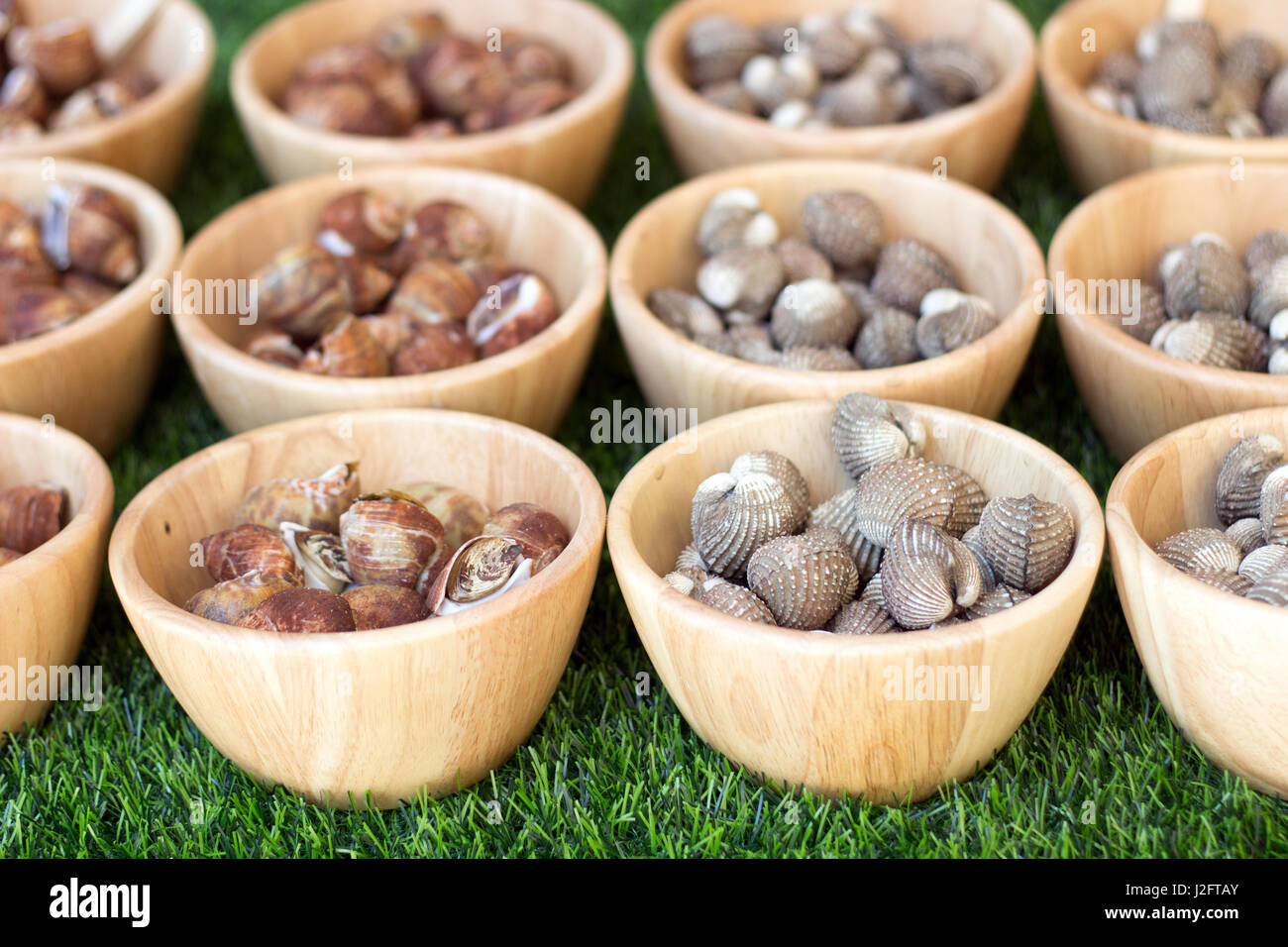kind of shell in wood bowl on grass for serve seafood party Stock Photo