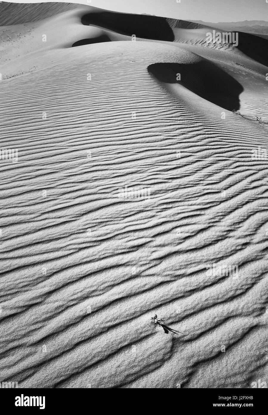 USA, California, Mojave Trails National Monument. Black and white image of sunset shadow on sand dunes in the desert, Mojave Trails National Park Stock Photo