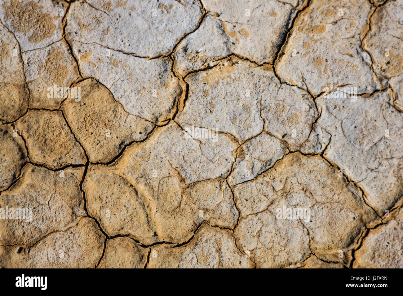 Detail shot of cracked earth covered with salt. Stock Photo