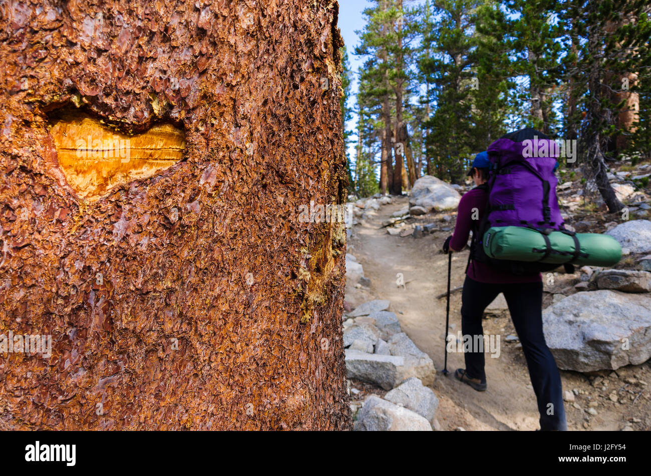 Trail blaze and backpacker on the Bishop Pass Trail, John Muir Wilderness, Sierra Nevada Mountains, California, Usa (MR) Stock Photo