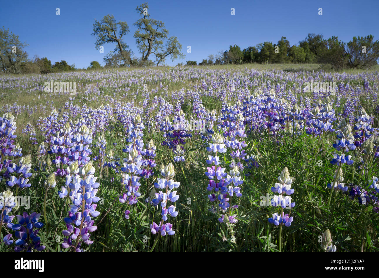 California Central Coast Stock Photo Alamy