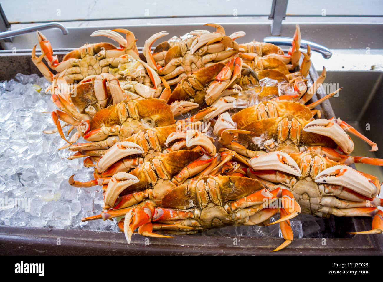 crabs at fisherman's wharf san francisco usa Stock Photo 139263549 Alamy