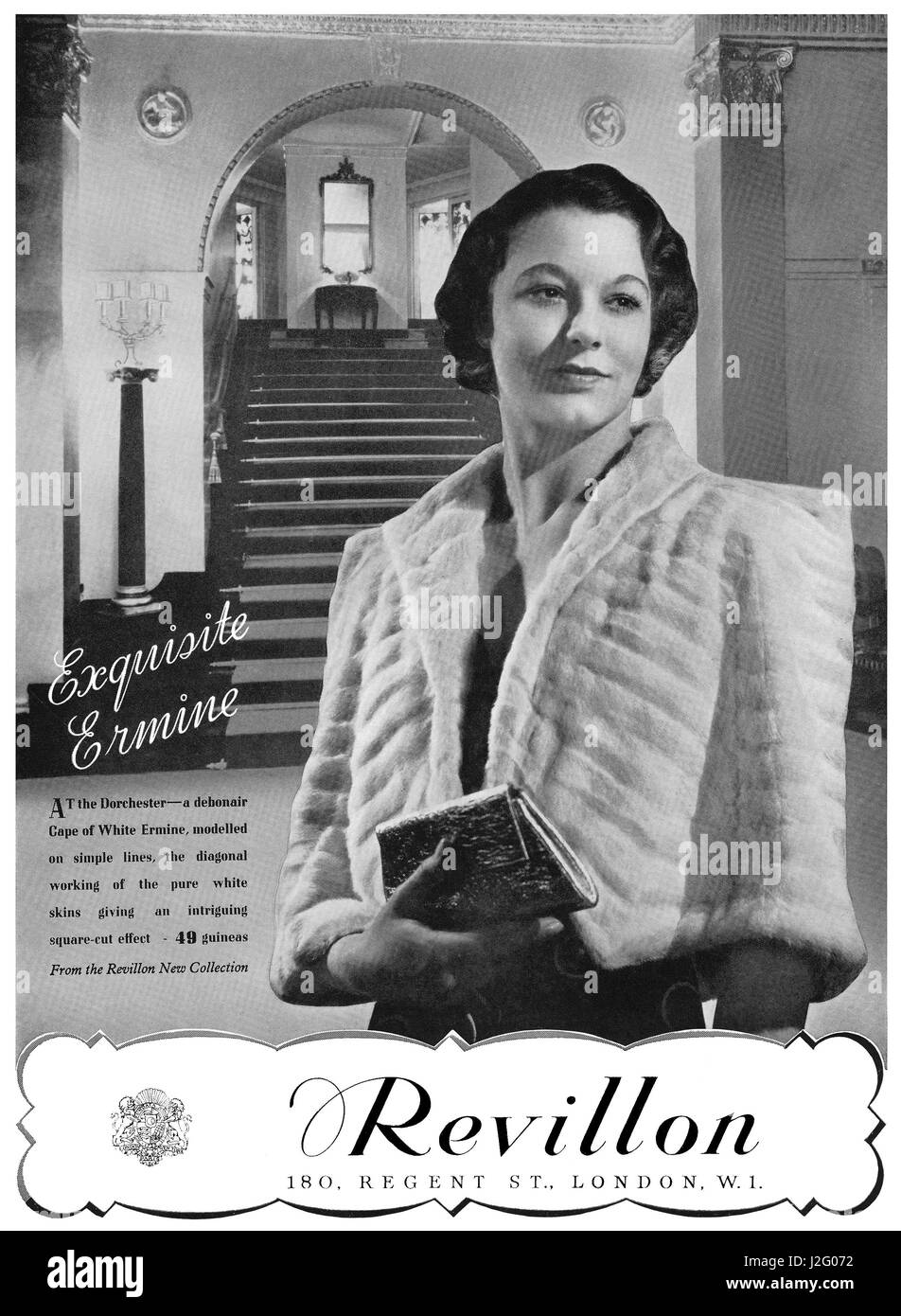 1937 British advertisement for Revillon Furs, showing a white ermine cape. Stock Photo