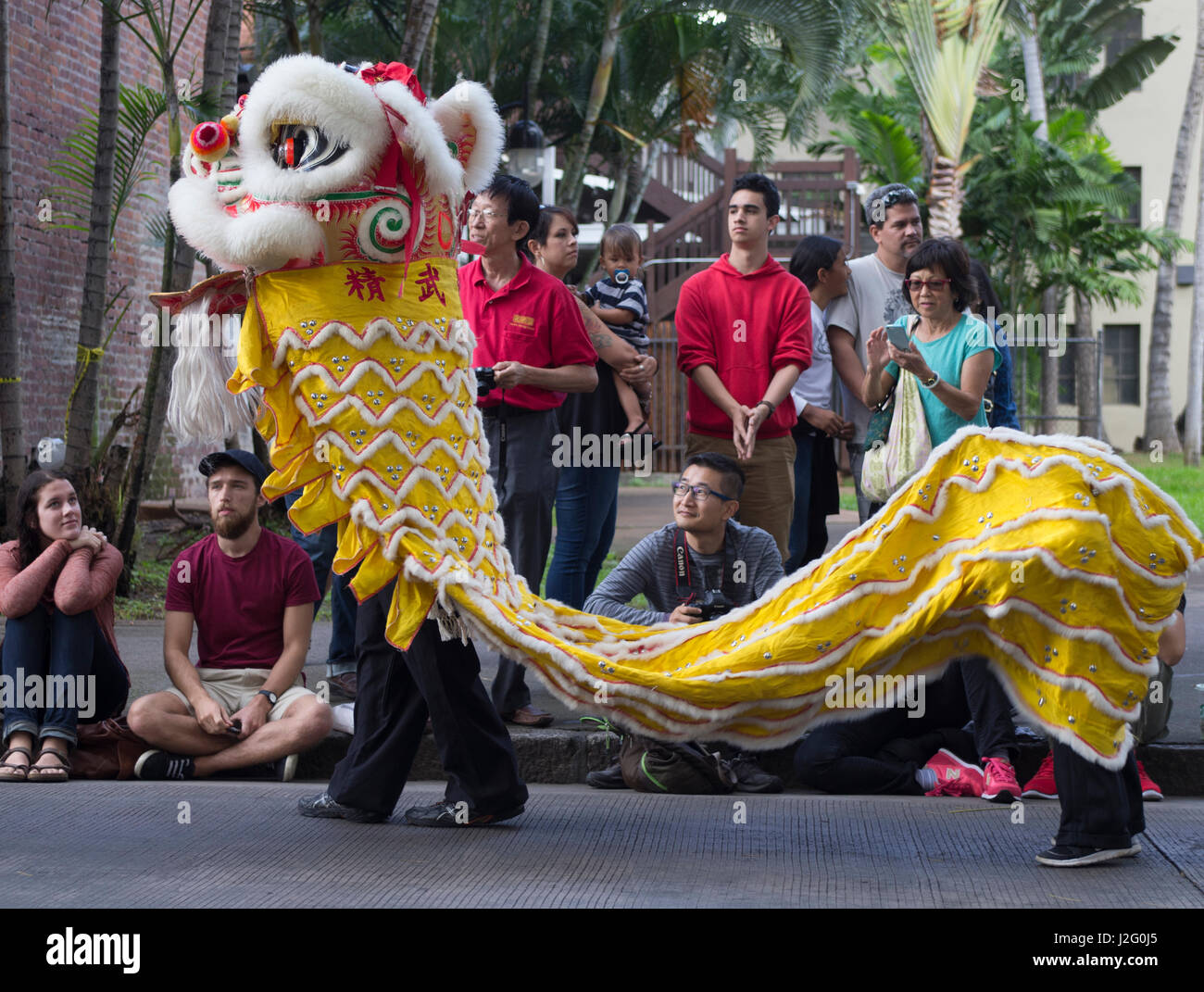 USA, Hawaii, Oahu, Honolulu. Lion dancing, Chinese New Year parade