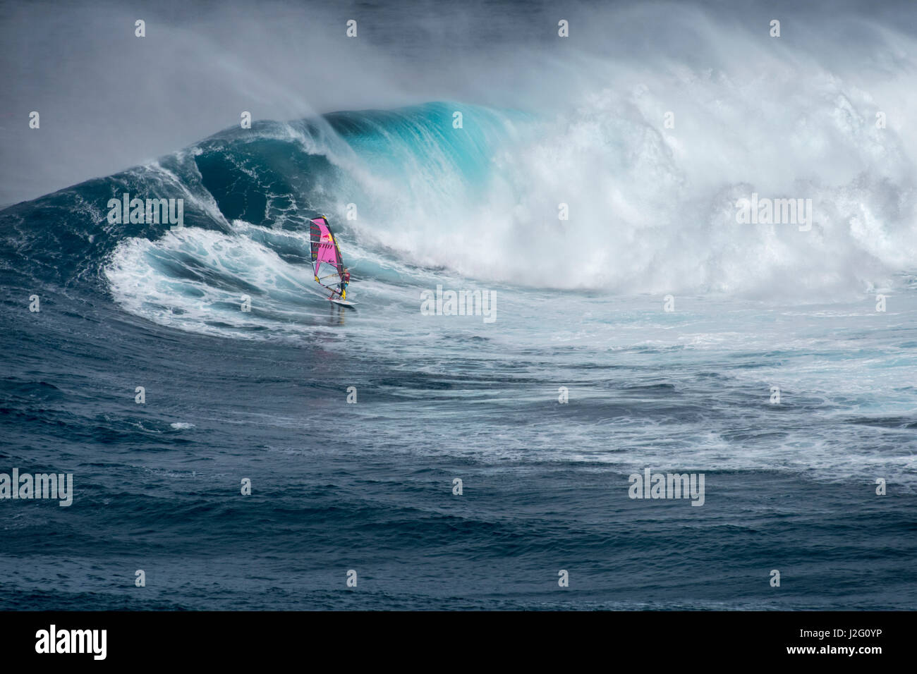 USA, Hawaii, Maui. World champion Robby Naish windsurfing monster waves