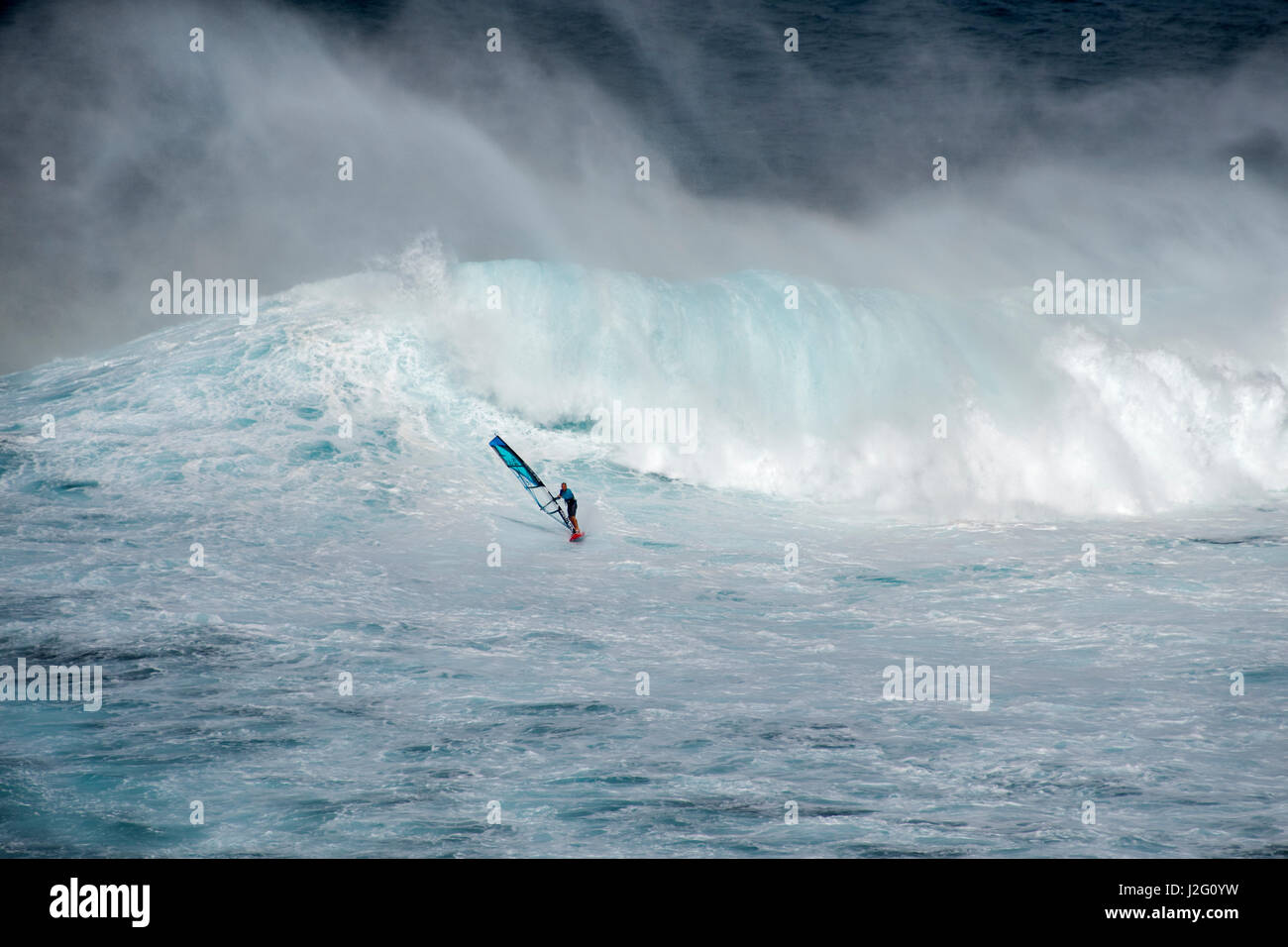USA, Hawaii, Maui. Lone figure windsurfing monster waves at Pe'ahi Jaws