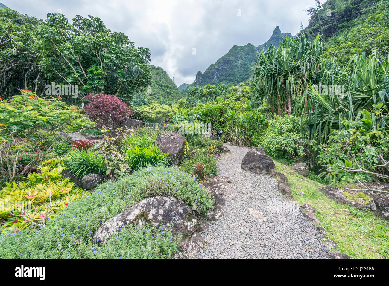 Hawaii, Kauai, Limahuli Garden and Preserve (Large format sizes ...