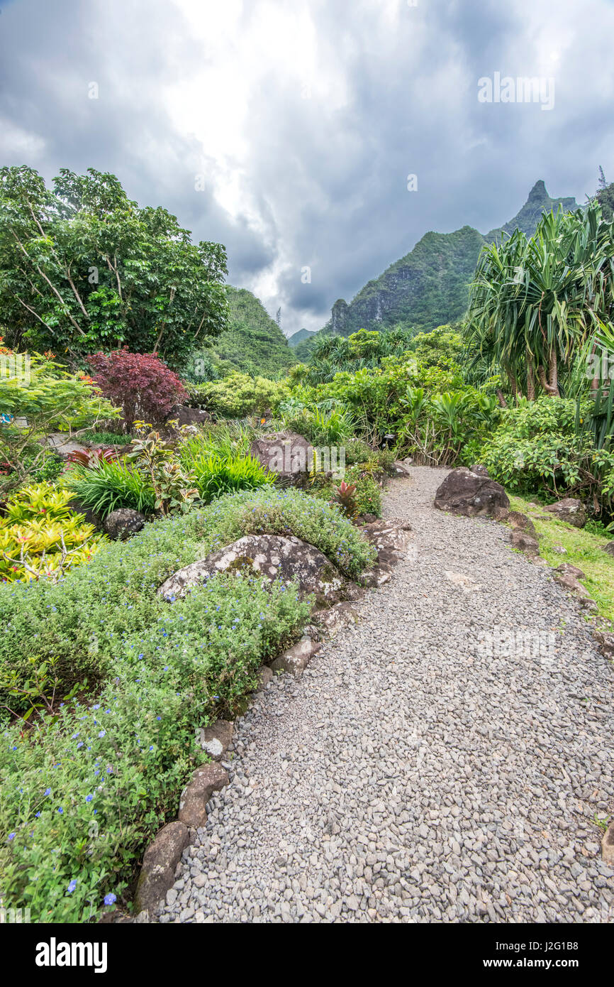 Hawaii, Kauai, Limahuli Garden and Preserve (Large format sizes ...