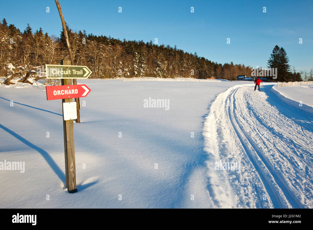 A cross country ski trail at the Notchview Reservation in Windsor