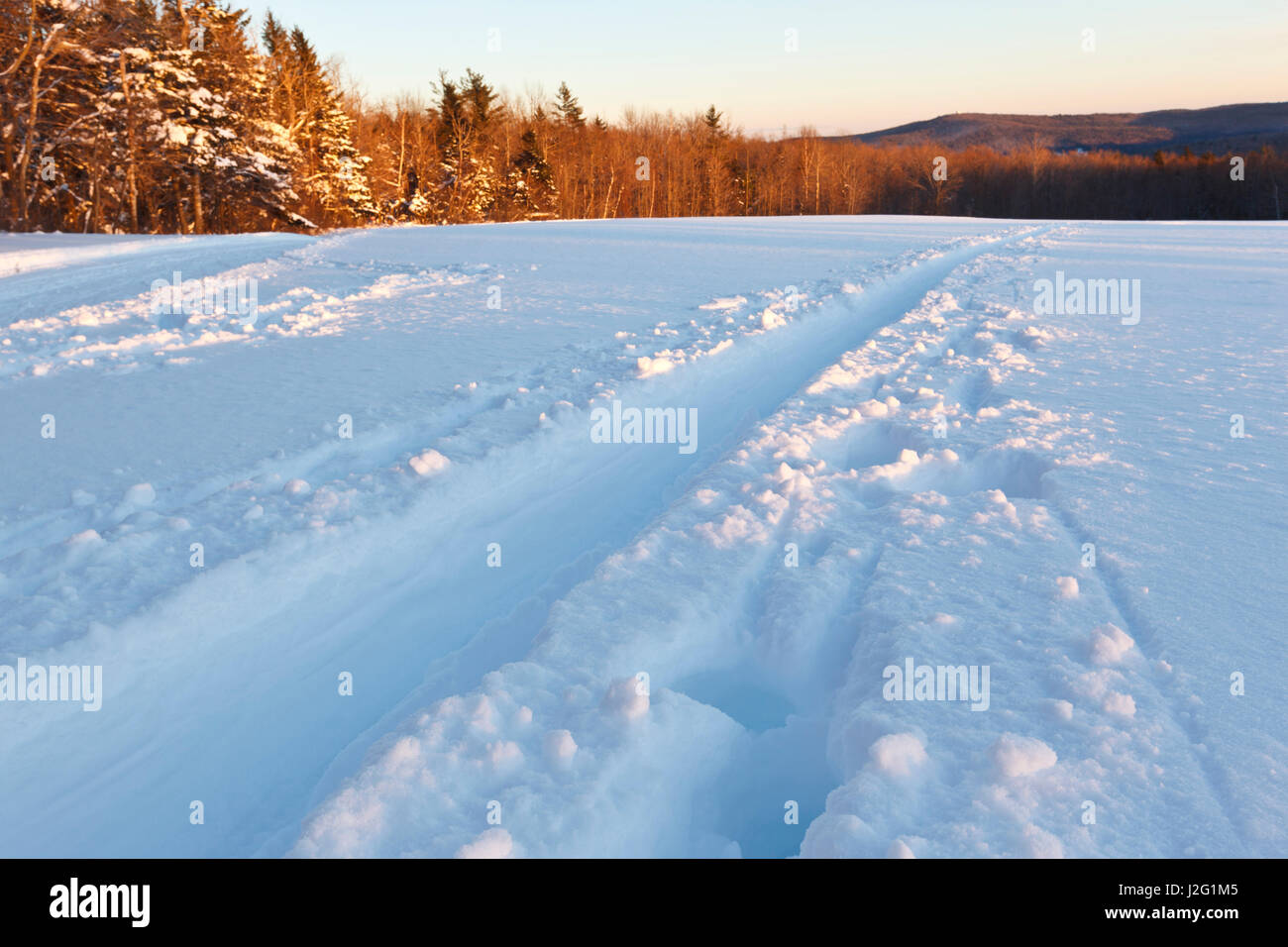 A cross country ski trail at the Notchview Reservation in Windsor