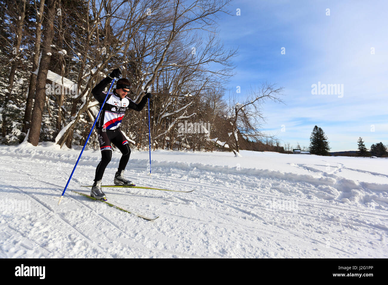 A man crosscountry skiing at the Notchview Reservation in Windsor