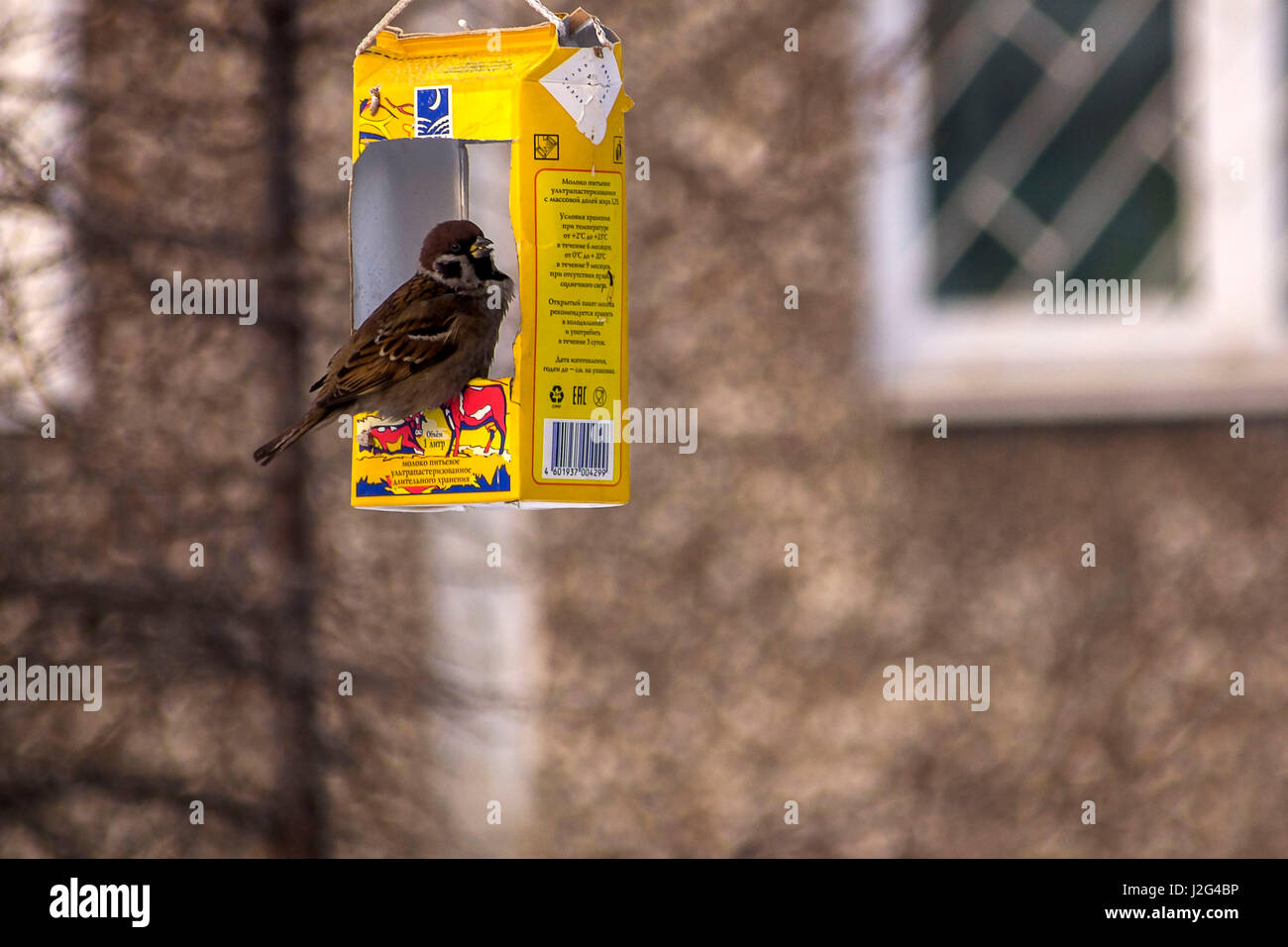 Sparrow To The Manger Bird Food Bird Feeders Tree House For The