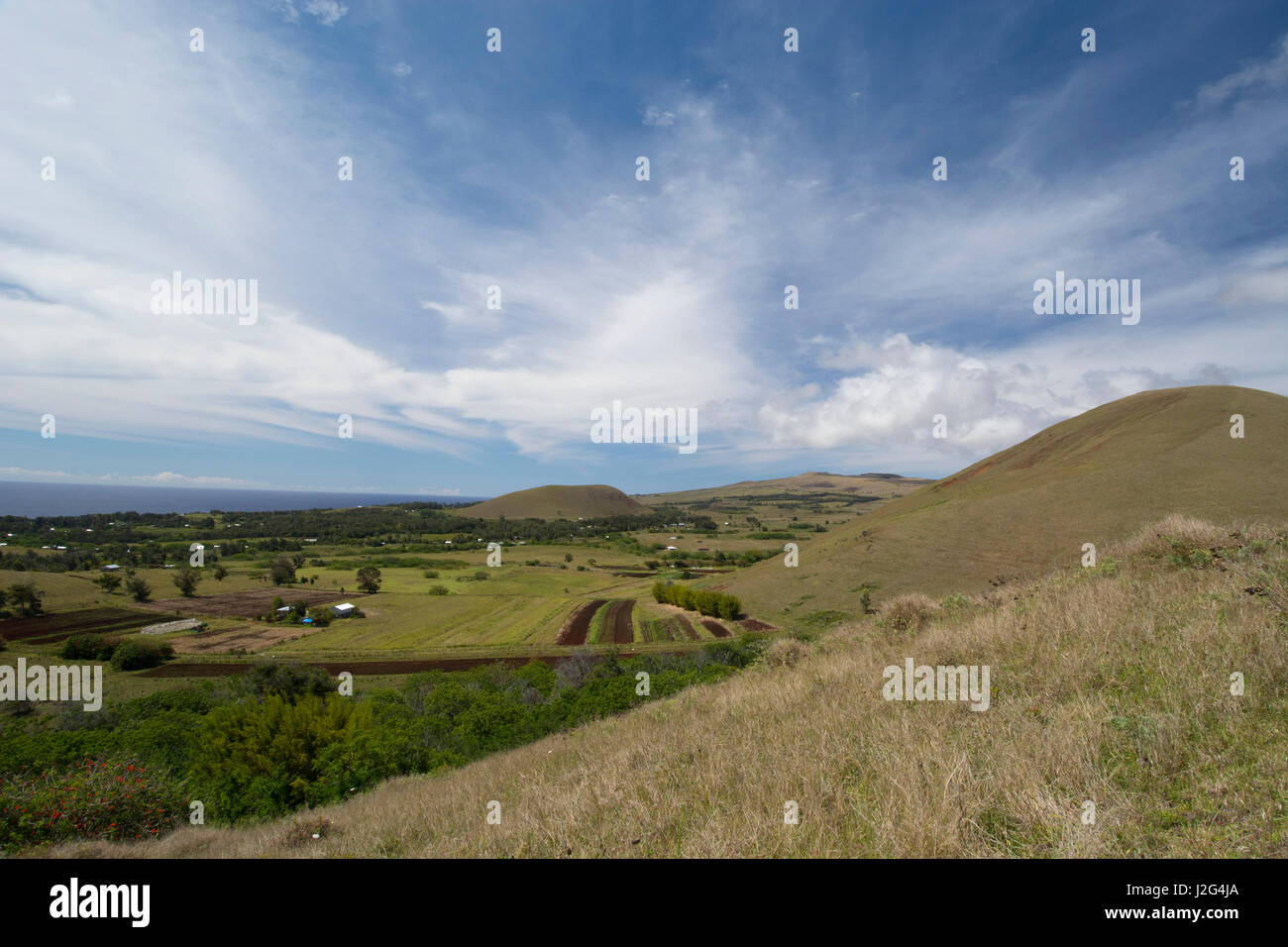 Chile, Easter Island aka Rapa Nui. Puna Pau, Rapa Nui NP, UNESCO. Volcanic crater quarry where pukaos (topknots, hats) for moai statues were carved. Volcanic landscape with farmland. Stock Photo