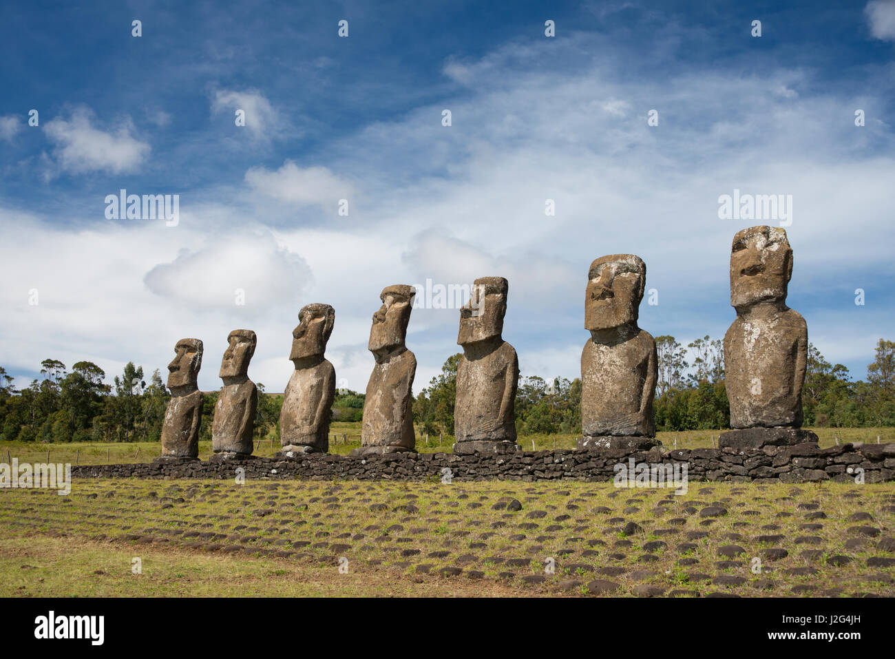 Chile, Easter Island aka Rapa Nui. Ahu Akivi, ceremonial platform with seven restored standing moi statues. Rapa Nui National Park, UNESCO. (Large format sizes available) Stock Photo