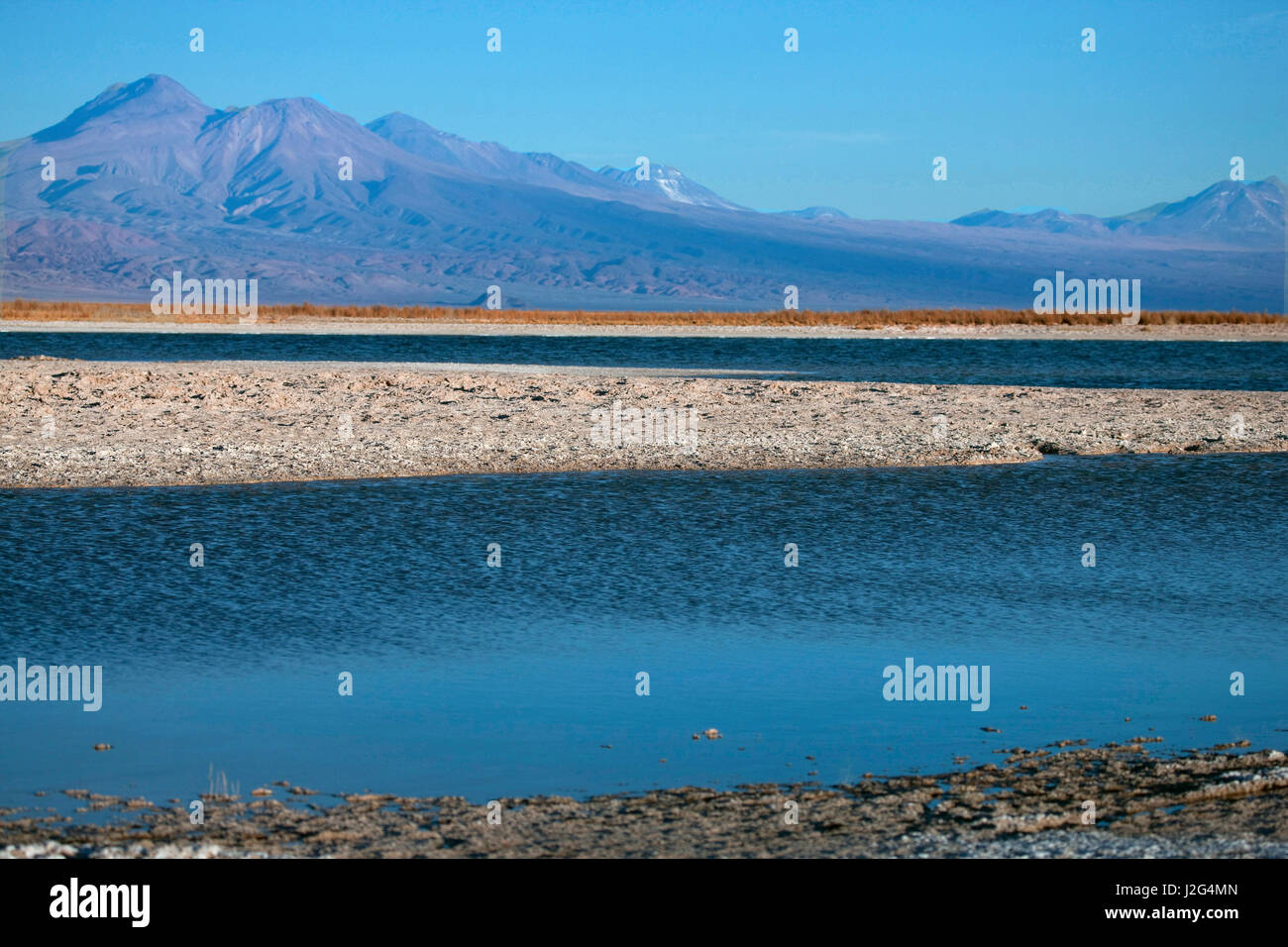 Eleven miles outside of San Pedro de Atacama, is Cejar, a series of three ponds located in the middle of the Salt Lake. Stock Photo