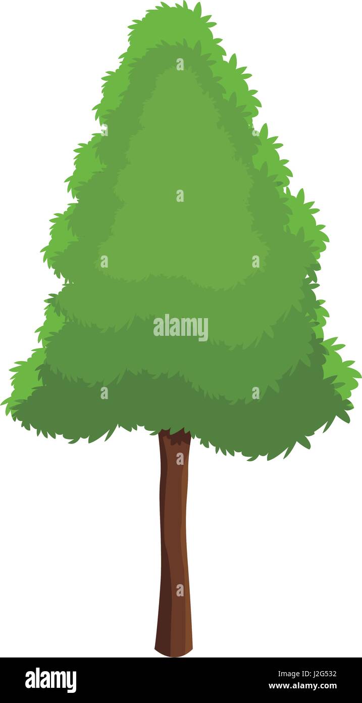 pine tree botanic foliage over white background Stock Vector Image ...